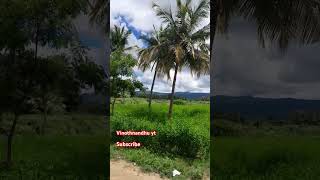 Silu Silu vendru pongathu trending shortsfeed reels nature [upl. by Sparky]