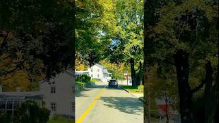 Drive along the road no360 Quebec City to st Anne streetcar travel niceview shortvideo [upl. by Bill71]