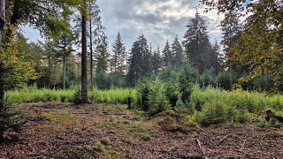 Trailrun Bennekom [upl. by Ardnajela36]