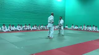 Judo vs Taekwondo demo [upl. by Knowland]