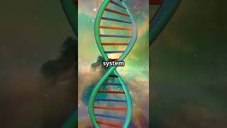 Theres Enough DNA in the Human Body to Stretch from the Sun to Pluto and Back [upl. by Iblok]