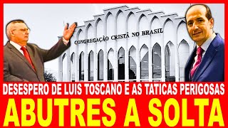 ABUTRES A SOLTA NA CCB Desespero do Ancião Luís Toscano e as Táticas Perigosas [upl. by Aroda]