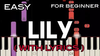 LILY  LYRICS   ALAN WALKER  SLOW amp EASY PIANO [upl. by Gerrilee]