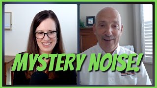 Mystery Ringing Sound HVAC Expert Answers Questions [upl. by Norm75]