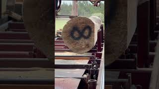 Yellow Pine Cut Into 8x8 For Multimillion Dollar Home  Cooks AC36 sawmill [upl. by Rasia]