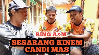 TEAM CANDI MAS TAKE OVER SESARANG KINEM DAN 2 ADIK KINEM RING AampM [upl. by Englebert803]