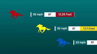 Sectional Timing on Sky Sports Racing and attheracescom [upl. by Jud]