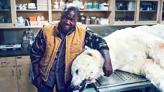 Man Unleashes Ancient Parasite by Taking Photo With Dead Polar Bear [upl. by Idnod952]