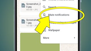 Whatsapp Mute Notification Kya Hota Hai  Mute Notifications Whatsapp Meaning [upl. by Nivram]