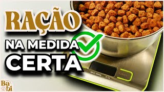 Qual é a QUANTIDADE IDEAL DE RAÇÃO que o CACHORRO deve comer por dia [upl. by Elahcim]