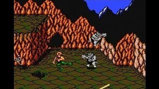 Battletoads NES Hack amp Double Dragon  Dark Queen Rematch Warpless [upl. by Livesay480]