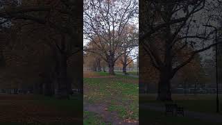 London Fields Autumn [upl. by Burney]