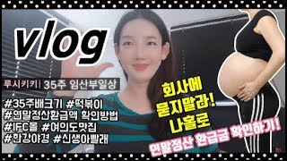 VLOG  루시키키 브이로그35주 임산부브이로그35주배크기연말정산환급금조회방법여의도맛집한강야경신생아빨래IFC몰떡볶이마라탕맛집 [upl. by Ynnavoeg]