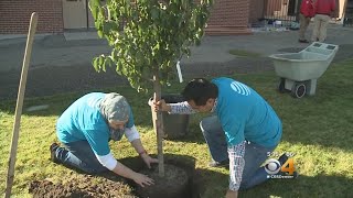 Volunteers Team Up To Clean Up Denver Elementary School [upl. by Nicolle]