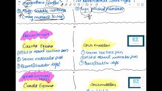 Cauda Equina Syndrome Vs Conus Medullaris [upl. by Ihcehcu186]