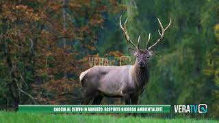 Caccia al cervo in Abruzzo respinto il ricorso degli ambientalisti [upl. by Takakura331]