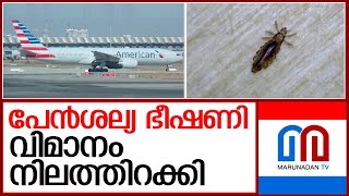 വിമാനം വൈകിയത് 12 മണിക്കൂർ I american airlines flight makes emergency landing [upl. by Nagy]