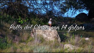 Pollo del Chopo con 14 golpes [upl. by Llenrad298]