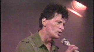 Herman Brood amp His Wild Romance  Sleepin bird [upl. by Corene]