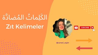 الكلمات المضادة  ZIT KELİMELER OPPOSİTES İN ARABİC [upl. by Nasar]