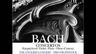 Bach  Harpsichord Concerto No7 in G Minor BWV 1058  33 [upl. by Sew230]