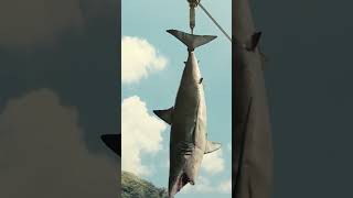 Jurassic World Mosasaurus Feeding HD Movie Clip jurassicworld chrispratt mosasaurus shark [upl. by Jan180]