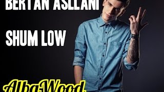 Bertan Asllani ft Big D Shum Low AlbaWood [upl. by Harland299]