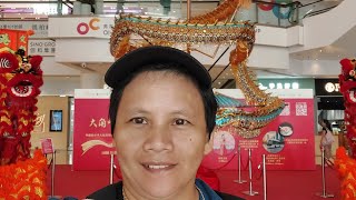 TAI KUK TSUI CHINESE DRAGON TRADITION HONGKONG trendingshorts viralshortvideo [upl. by Cynthea415]