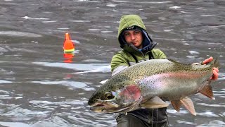 WINTER Steelhead Fishing  UNREAL BOBBER DOWNS [upl. by Pickett]