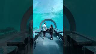 Underwater restaurant in Maldives lovebeauty adventure nature Top10 fun ytshorts [upl. by Cale417]