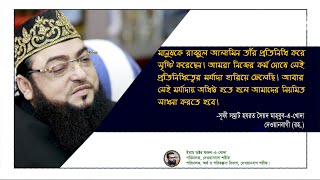 মানুষকে রাব্বুল আলামিন তাঁর প্রতিনিধি করে সৃষ্টি করেছেন। [upl. by Sivert]