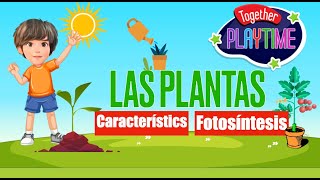 Las Plantas [upl. by Acissj399]