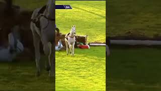 Drama at Wetherby the other day 🏇🤯 lucrative racing horse horseracing jockey shorts [upl. by Ydnew]