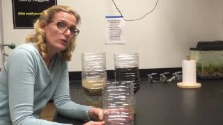 Building EcoColumns Solving DO issues with aquatic chamber holes [upl. by Steddman94]