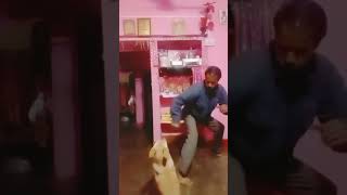 fighter doggy Chunnu ki fighting 💘 Vimal Jain vlogs mpo4 Bhopal [upl. by Loredana]