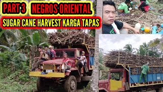 PART 3 NEGROS ORIENTAL SUGAR CANE KARGA TAPAS Buhay Probinsya [upl. by Burkley]