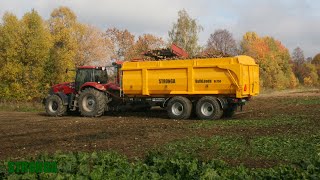 BulkLoada BL750 landwirtschaftlicher Anhänger bei der Zukerrübenernte [upl. by Poyssick]