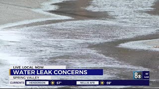 Water leak sparks concerns in Spring Valley [upl. by Aldridge612]