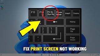 Fix Print Screen Not Working in Windows 11  10  How To Solve PrtScrn Key Screenshot not working 📸 [upl. by Anigal]