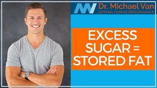 Excess Sugar  Stored FAT [upl. by Dominik]