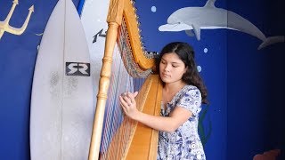 Mi despedida  Paraguayan harp played by Tessa Whale [upl. by Dixie]