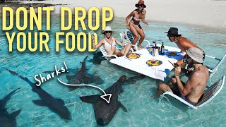 Dinner with SHARKS Would YOU do it 😱 [upl. by Grosberg]