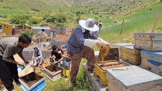 Beekeeping Adventures Transferring Queen Bees amp Building Milads House [upl. by Ninnette]