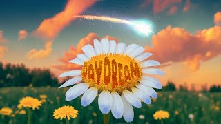 Stiggy Pop  Daydream Full EP [upl. by Narhem]