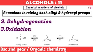 Dehydrogenation amp oxidation of alcohols  Alcohols  Bsc 2nd year organic chemistry  by chemboost [upl. by Adlesirg]