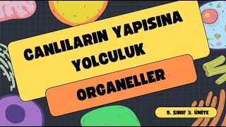 CANLILARIN YAPISINA YOLCULUK ORGANELLER 5SINIF FEN BÄ°LÄ°MLERÄ° YENÄ° MÃœFREDAT [upl. by Eiramrefinnej855]