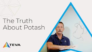 How Potash Affects Your Soil [upl. by Loriner]