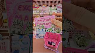 Blind box mini LABUBU Exciting macaron Unboxing Blindbox Labubu diy blindbag miniature [upl. by Nicolais]