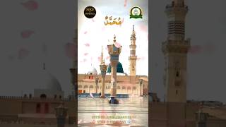 Maula Ya Salli Wa Sallim Qasida Burda Sharif Qaseeda Burdha Shareef قصیدہ برداشریف IslamicVideo [upl. by Ylen]