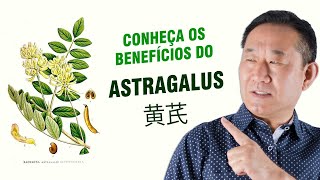 Os 10 Benefícios Do Astragalus 黄芪  Dr Peter Liu [upl. by Neelyt]